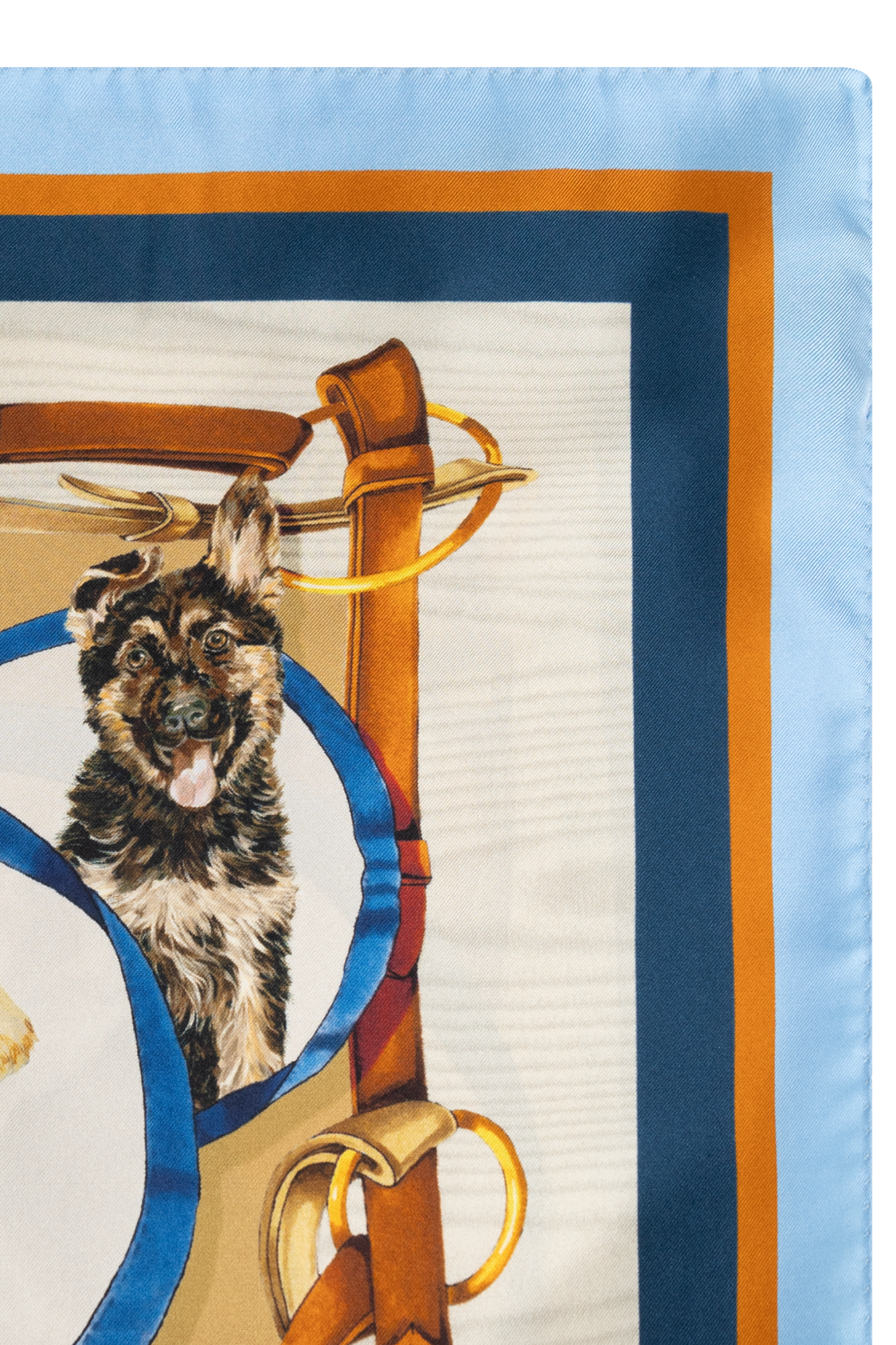Dolce&Gabbana スカーフ プリント FW24/25 Women's Scarves: in cashmere, silk | Dolce&Gabbana®